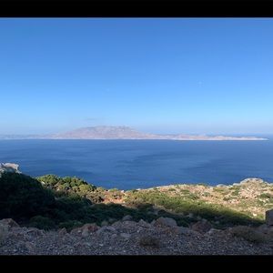 Meet your Posher, Alexia